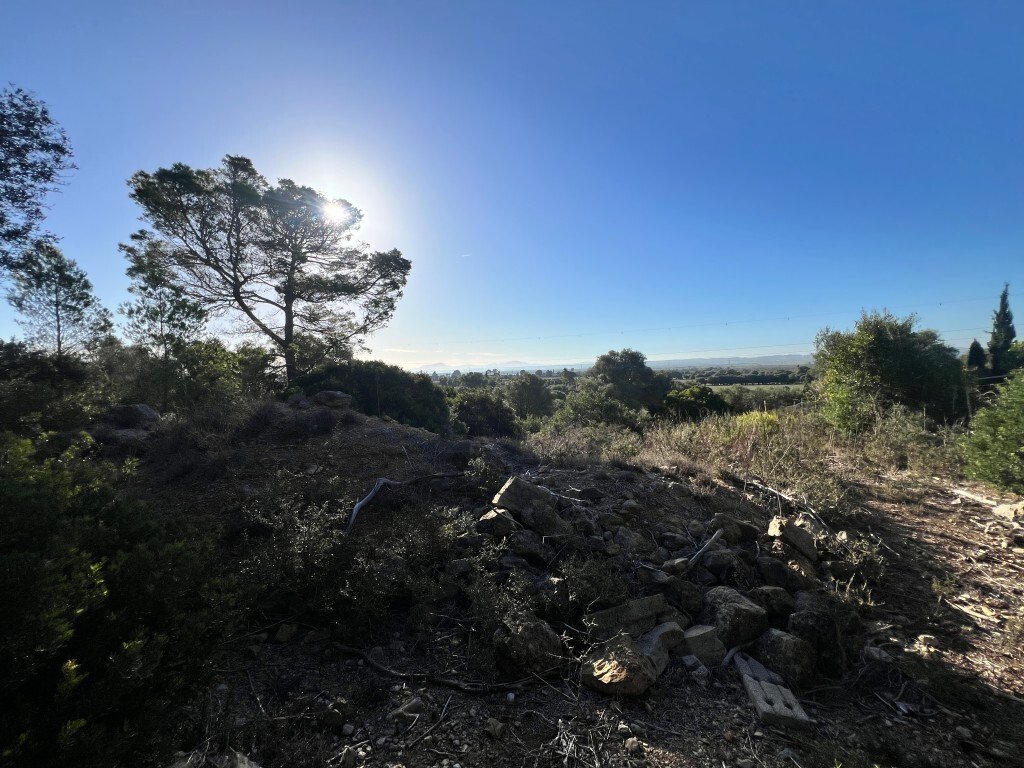 Land in Alcudia, Balearic Islands, Spain 4 - 16609131