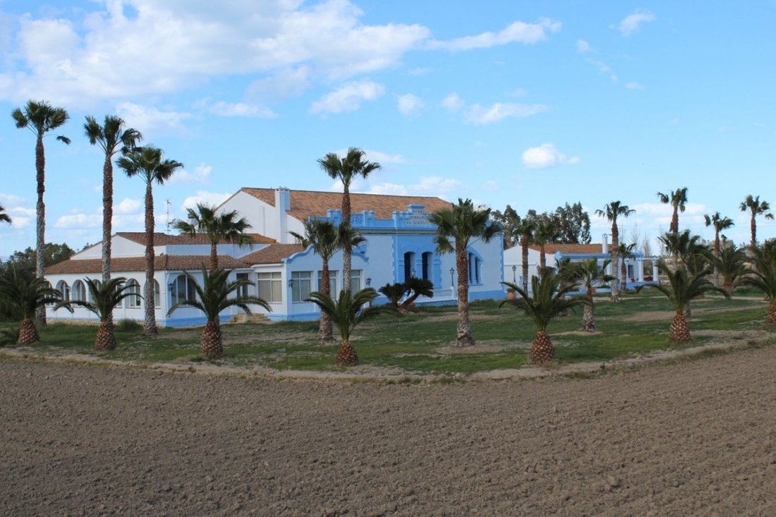 Villa in Deltebre, Catalonia, Spain 5 - 16609259
