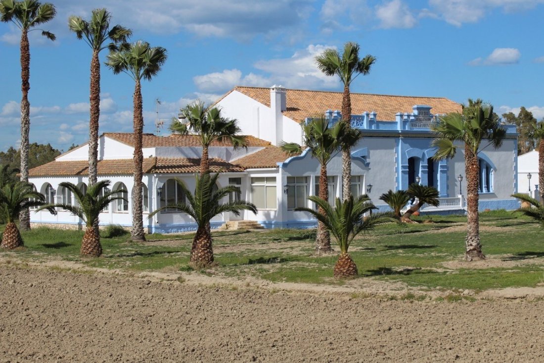 Villa in Deltebre, Catalonia, Spain 4 - 16609259
