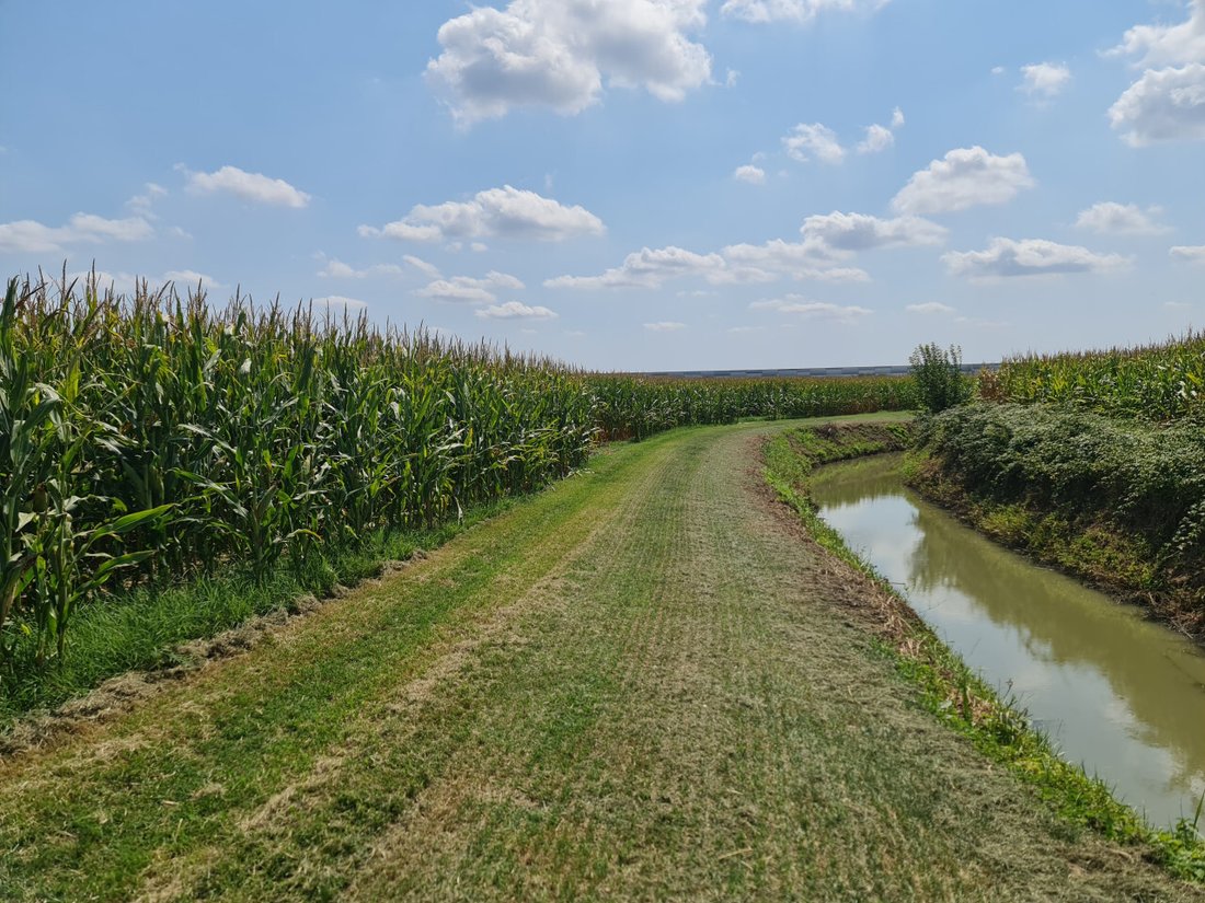Land in Lendinara, Veneto, Italy 1 - 16614963