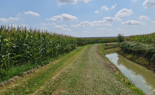 Land in Lendinara, Veneto, Italy 1