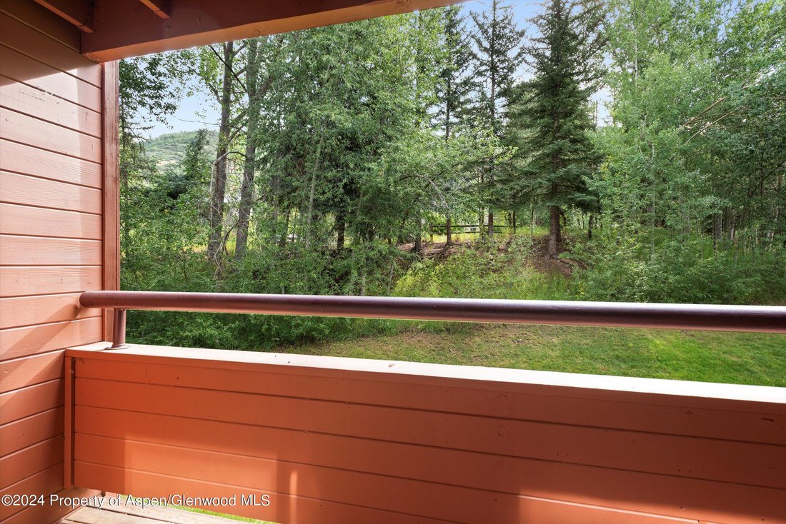 House in Aspen, Colorado, United States 3 - 16609823