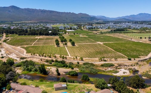 Farm Ranch in Val De Vie Winelands Lifestyle Estate, Western Cape, South Africa 1