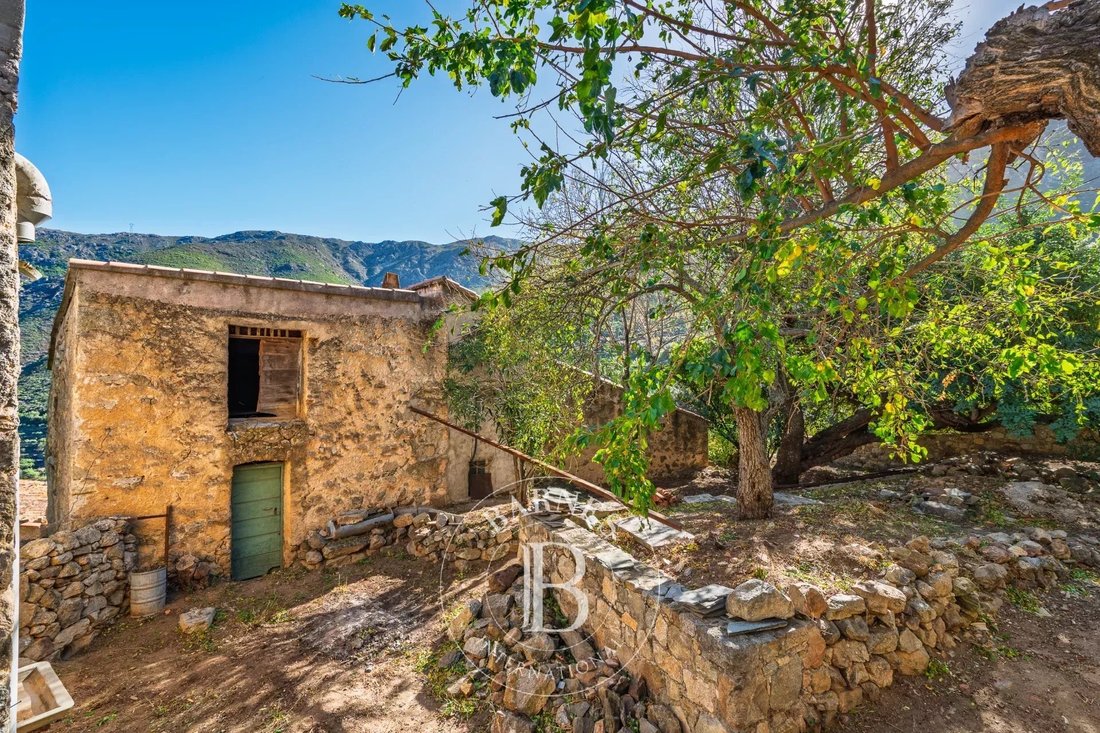 Villa in L'Île-Rousse, Corsica, France 3 - 16612639