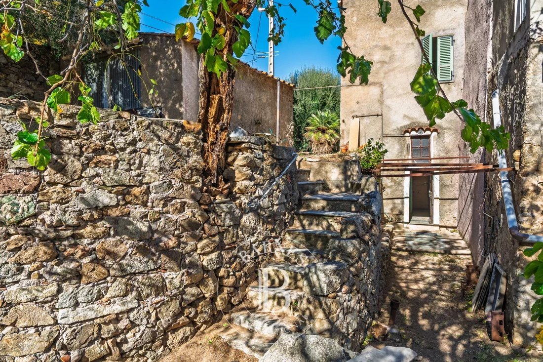 Villa in L'Île-Rousse, Corsica, France 4 - 16612639