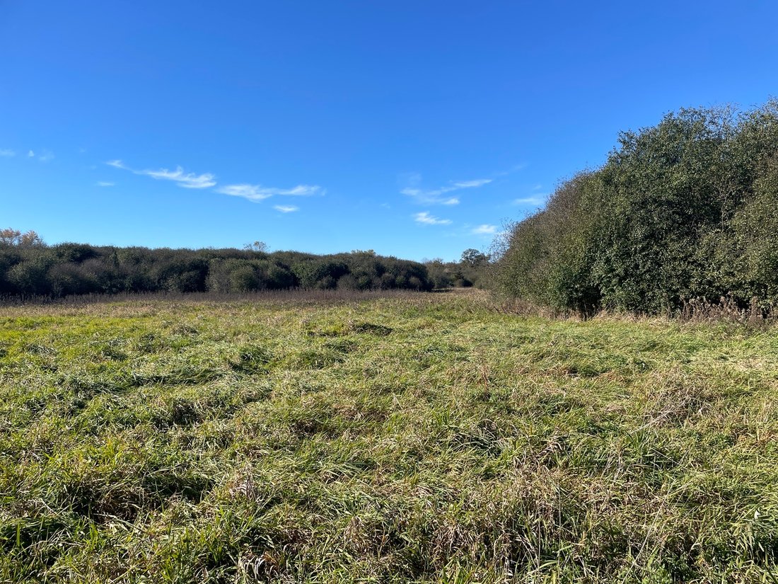 Land in Crystal Lake, Illinois, United States 2 - 16615870
