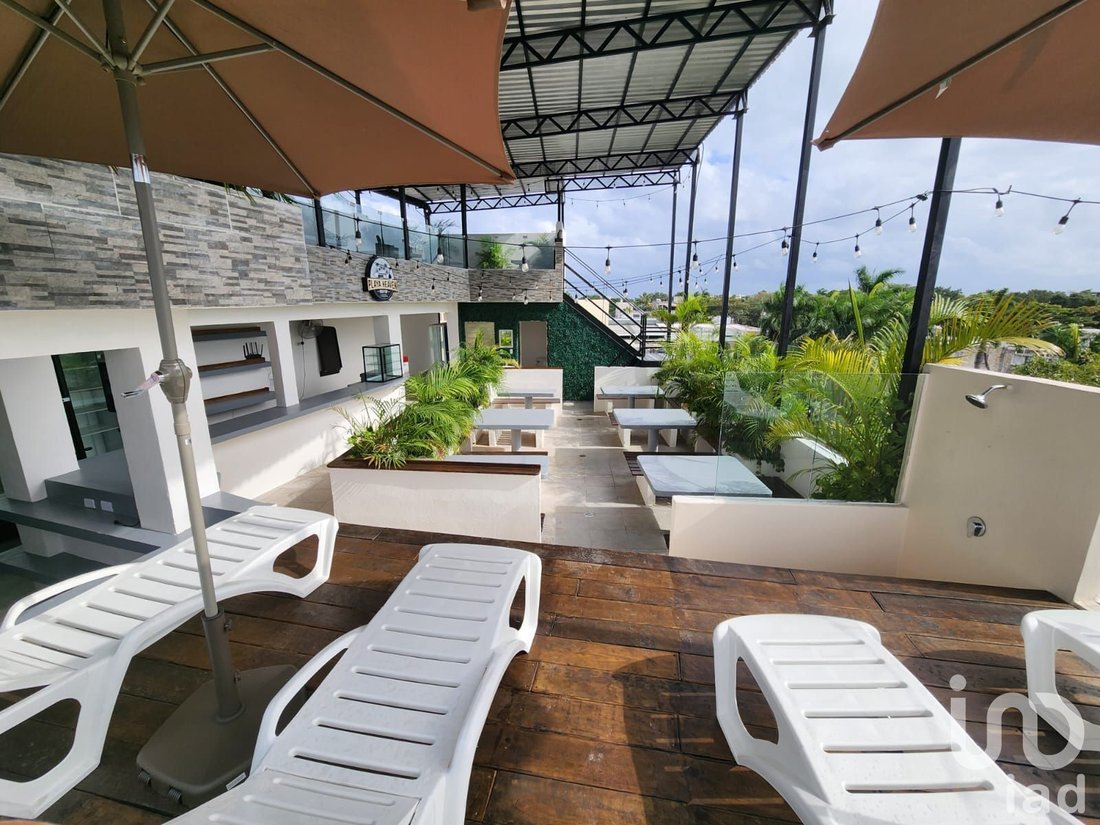 Altro in Playa del Carmen, Quintana Roo, Messico 2 - 16617563