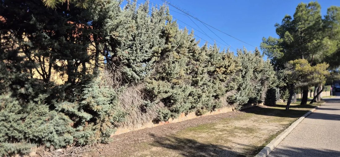 Land in Boadilla del Monte, Autonome Gemeinschaft Madrid, Spanien 5 - 15215762
