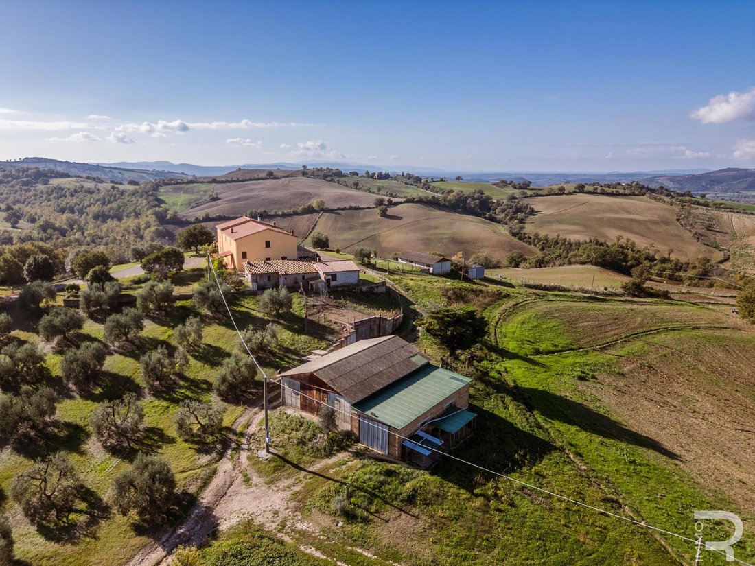 Farm Ranch in Manciano, Tuscany, Italy 5 - 16616731