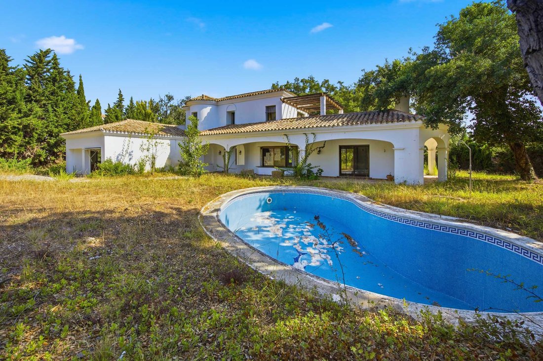 Villa in Sotogrande, San Roque, Andalusia 2 - 16618844