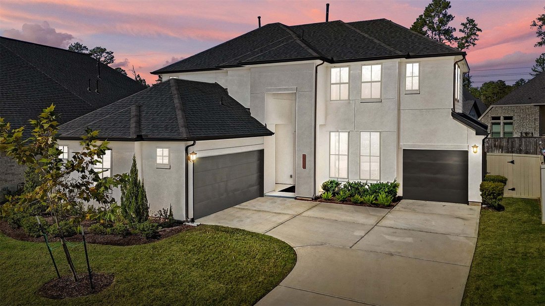 House in The Woodlands, Texas, United States 1 - 16616721