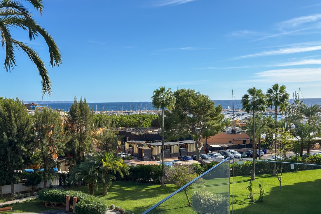 Apartment in Portals Nous, Calvia, Balearic Islands 2 - 16618603