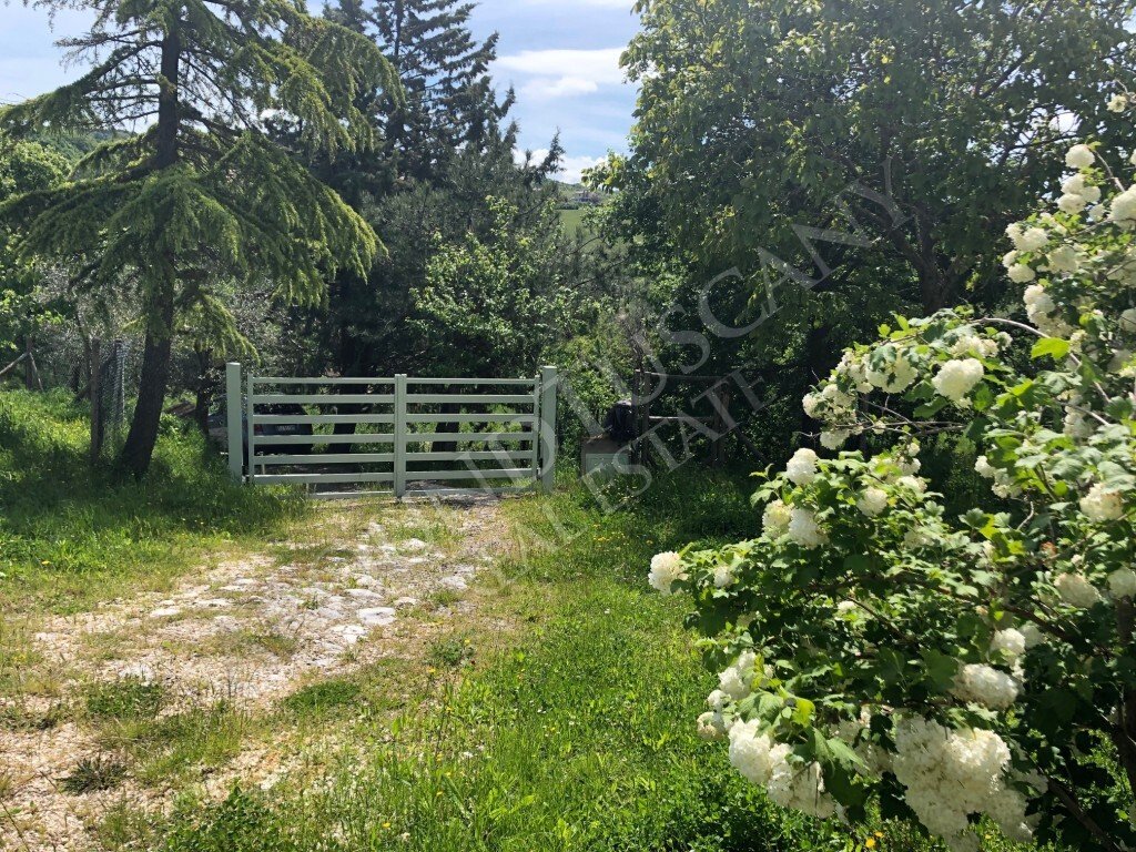 Country House in San Casciano dei Bagni, Tuscany, Italy 2 - 16618650