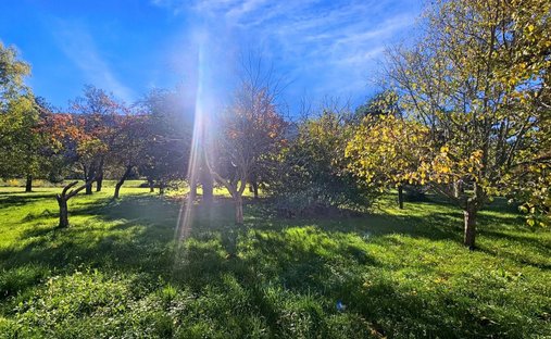 Castle for Sale in Plan-d'Aups-Sainte-Baume, Provence-Alpes-Côte d'Azur, France