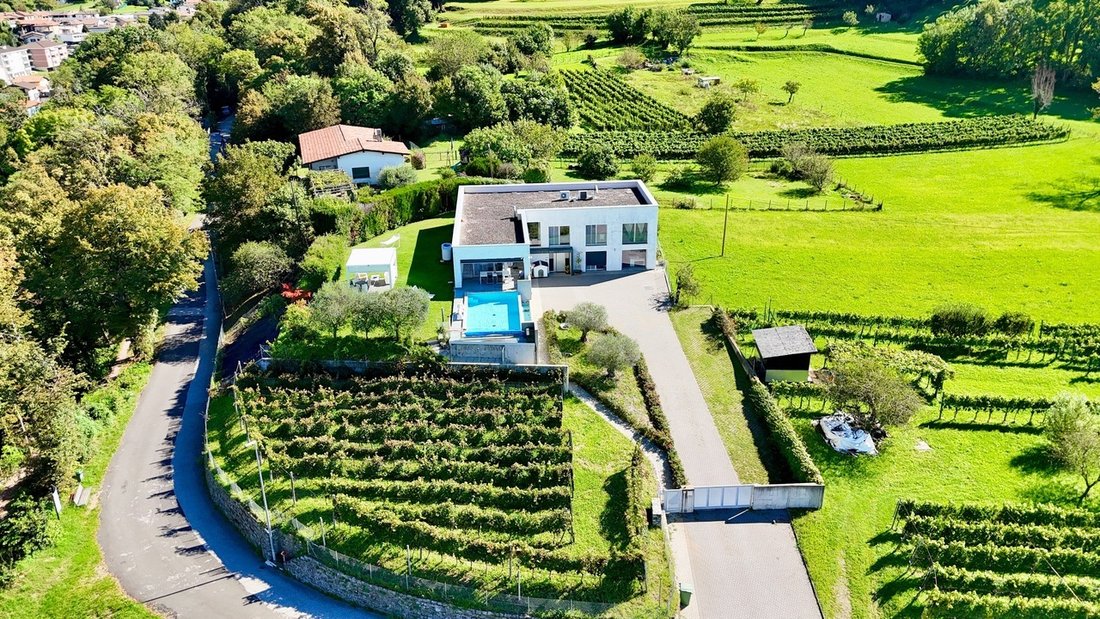 Prestigious Contemporary Villa With Garden, Pool And Private Vineyard