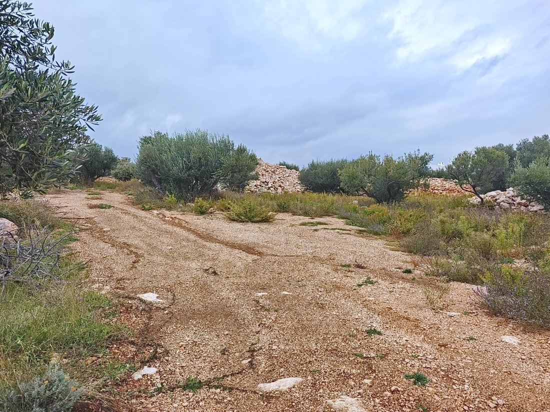 Land in Krk, Primorje-Gorski Kotar County, Croatia 1 - 16621069