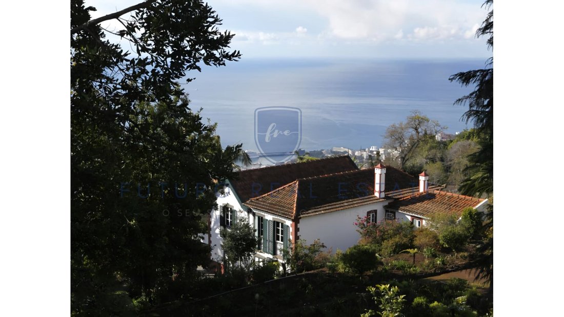 House in Monte, Madeira, Portugal 1 - 16621483