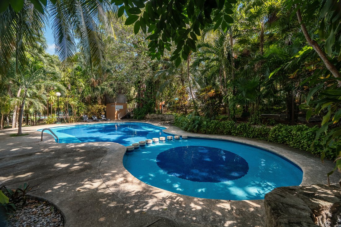 House in Playa del Carmen, Quintana Roo, Mexico 5 - 16621366