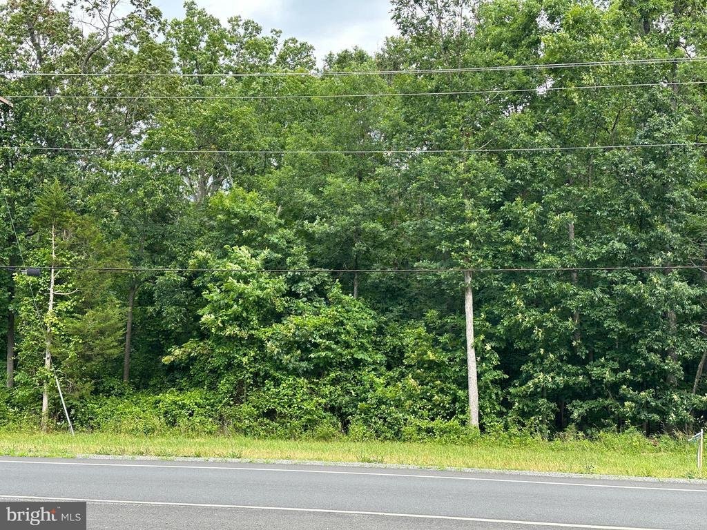 Land in Gainesville, Virginia, United States 1 - 14645227