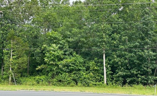 Land in Gainesville, Virginia, United States 1