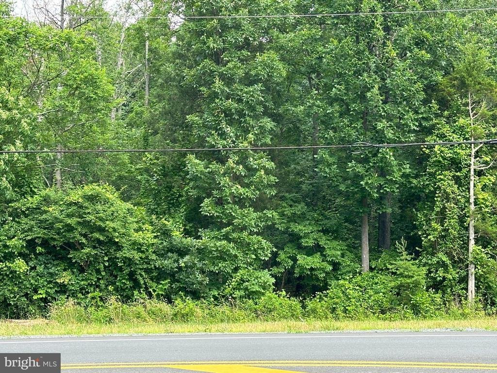 Land in Gainesville, Virginia, United States 4 - 14645227