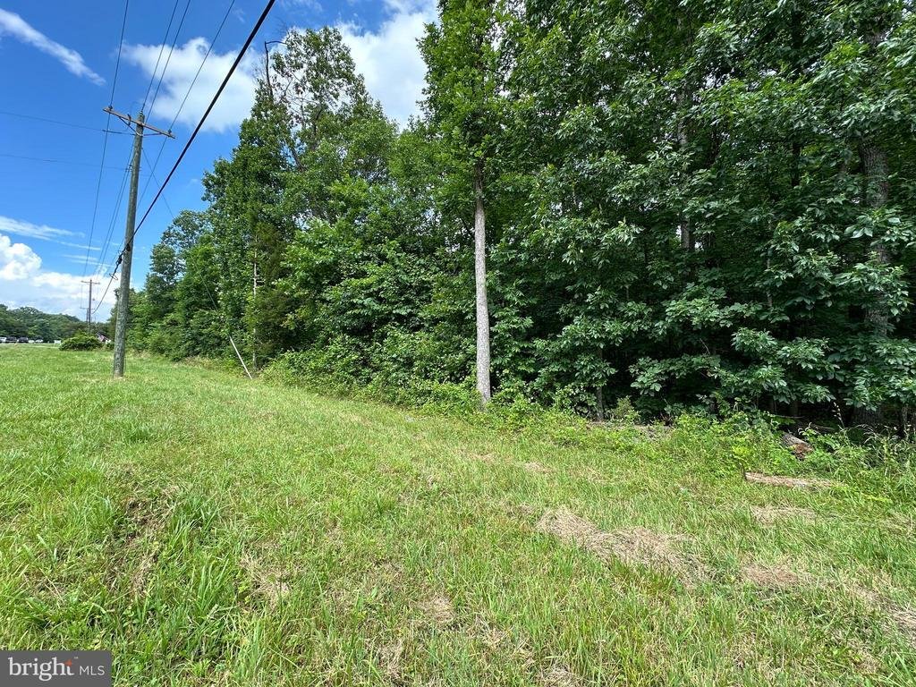 Land in Gainesville, Virginia, United States 5 - 14645227