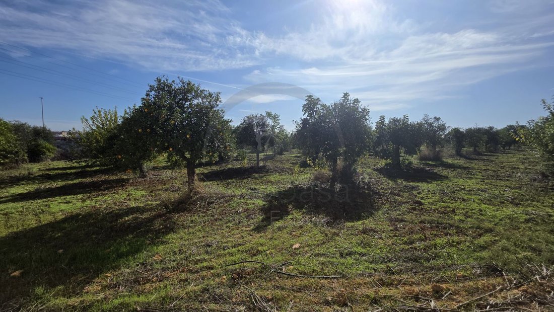 Land in Dos Hermanas, Andalusia, Spain 5 - 16622483