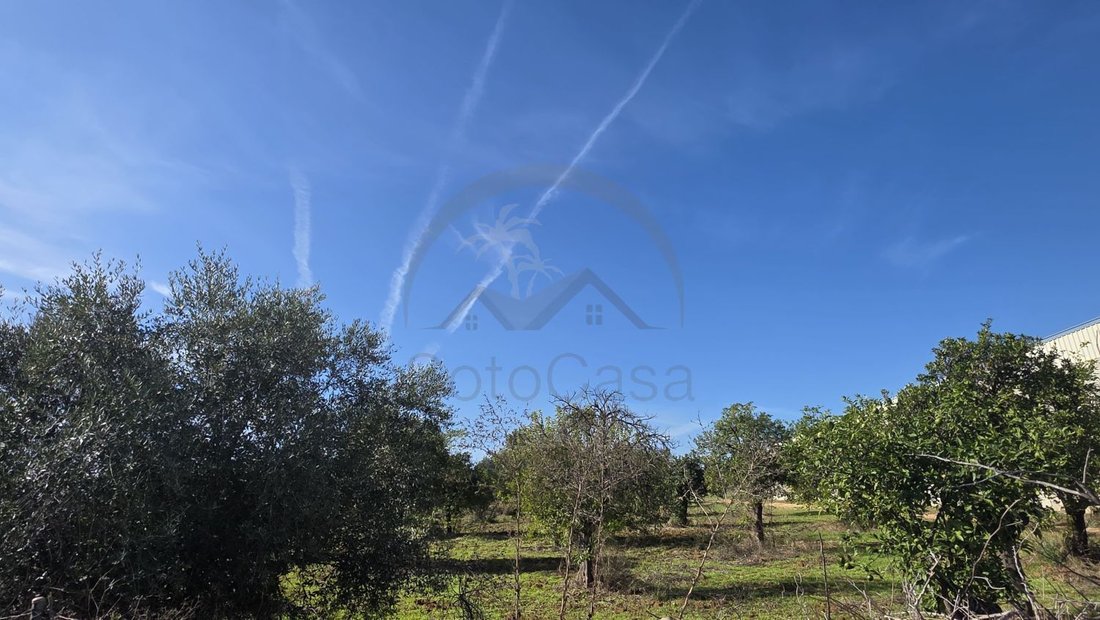 Land in Dos Hermanas, Andalusia, Spain 5 - 16622473