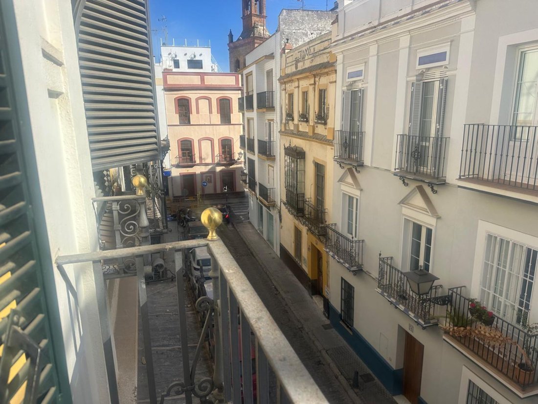 House in Casco Antiguo, Seville, Spain 3 - 16622485