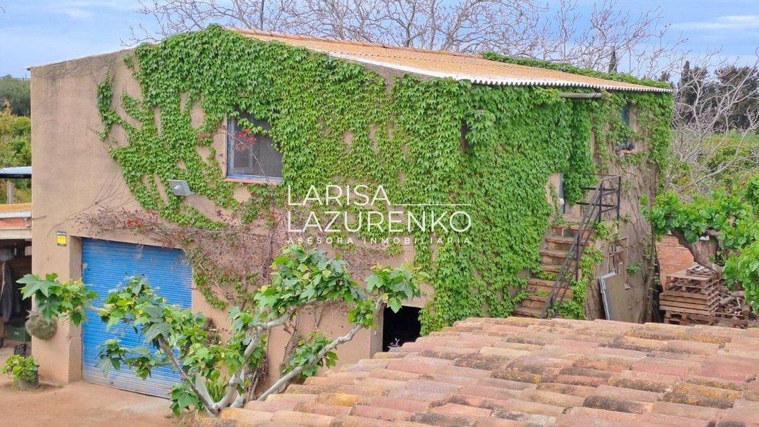 Farm Ranch in Vinyols i els Arcs, Catalonia, Spain 1 - 16622495