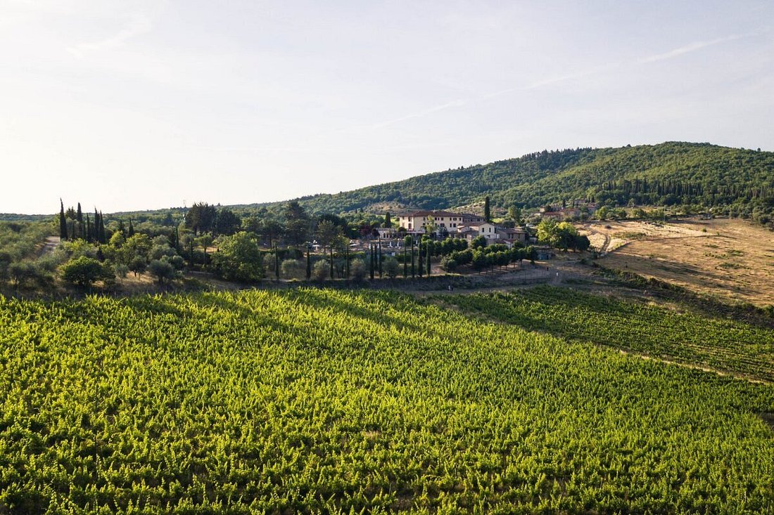 Estate in Castellina in Chianti, Tuscany, Italy 2 - 16622860