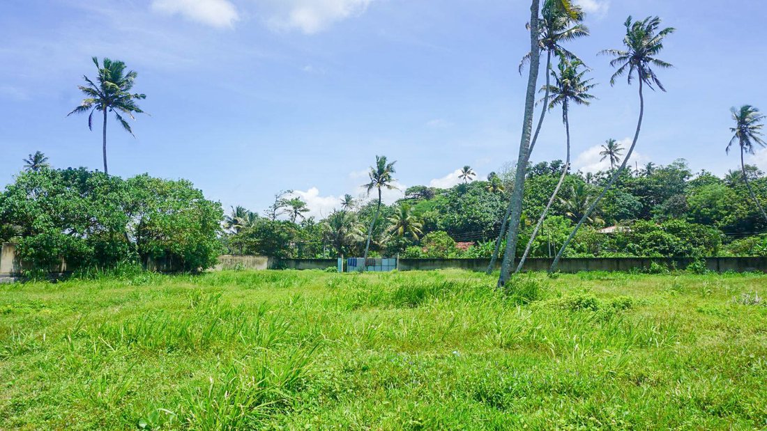 Land in Kamburugamuwa, Southern Province, Sri Lanka 5 - 16626978