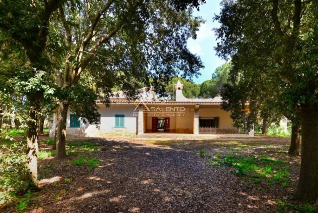 Villa in Carovigno, Apulia, Italy 3 - 16624520