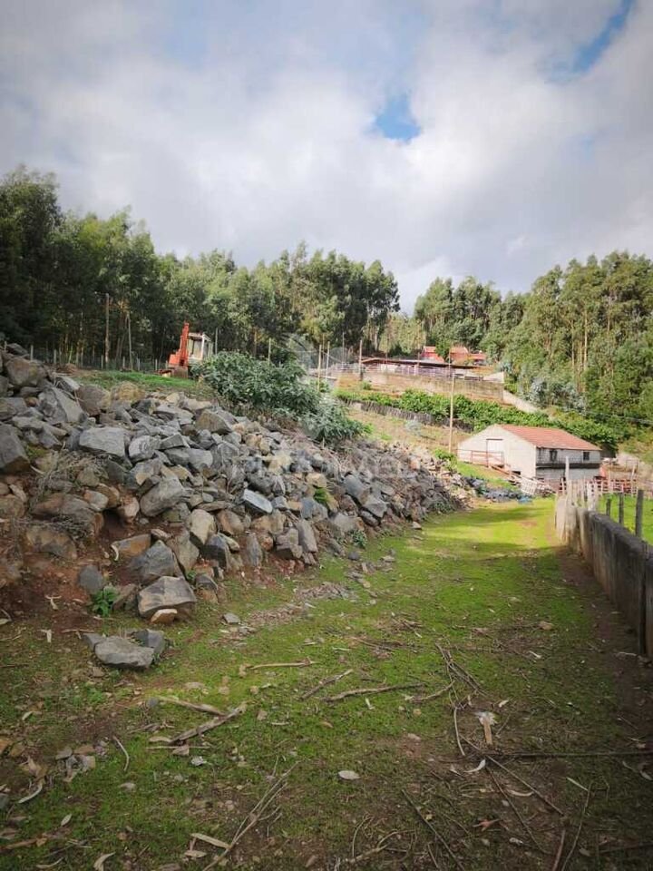 Farm Ranch in Camacha, Madeira, Portugal 1 - 16627901