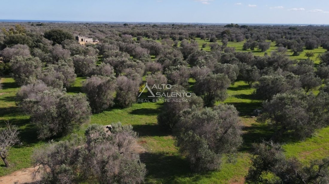 Land in San Vito dei Normanni, Apulia, Italy 5 - 16624076