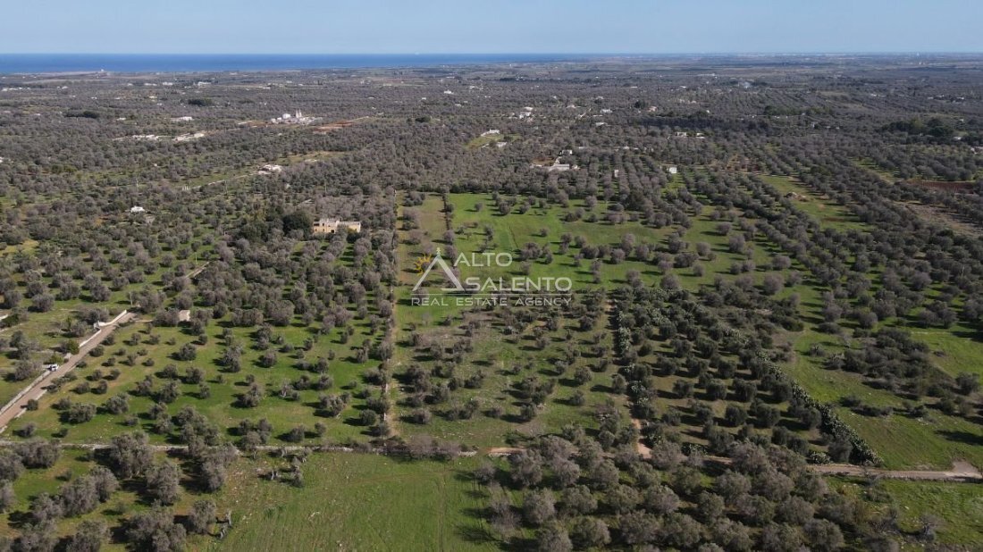 Land in San Vito dei Normanni, Apulia, Italy 1 - 16624076