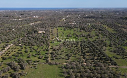 Land in San Vito dei Normanni, Apulia, Italy 1