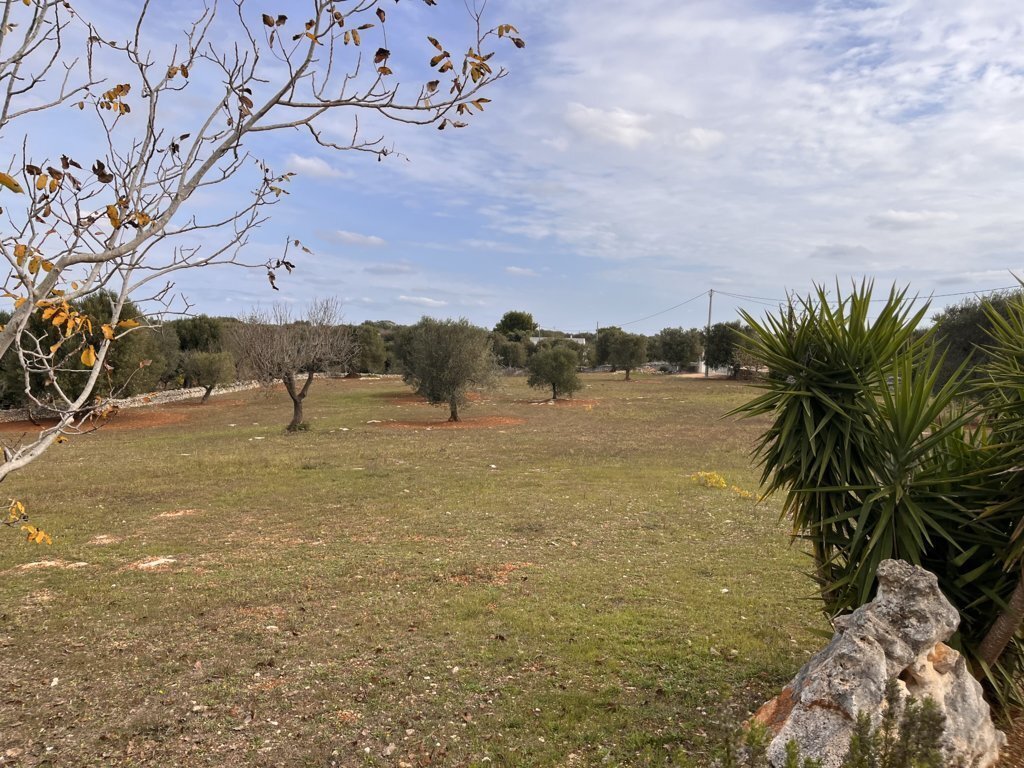 Country House in Ludovico Street - Corso Umberto I - Vittorio Emanuele Street, Ostuni, Apulia 5 - 16623226
