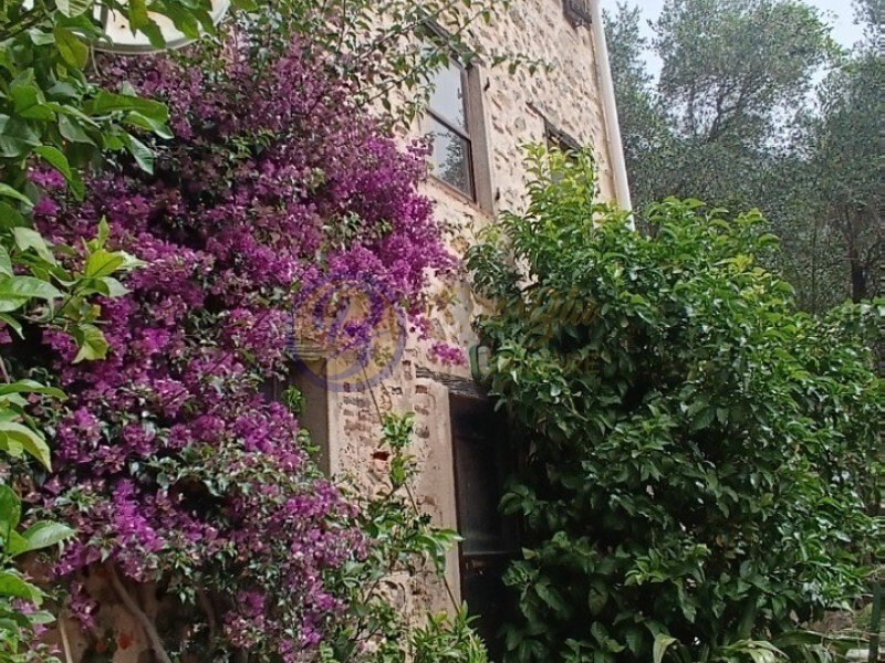 Country House in Camaiore, Tuscany, Italy 5 - 16622867