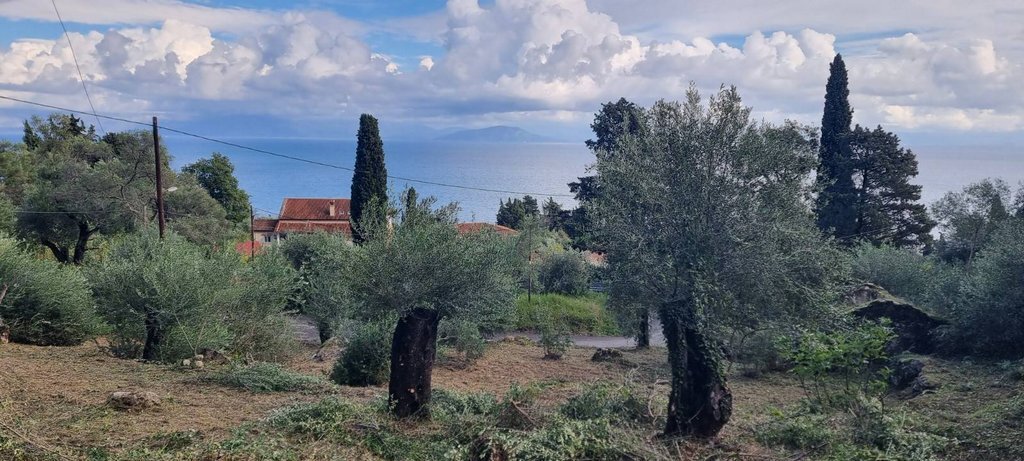 Corfu, Peloponnese, Western Greece and the Ionian, Greece 2 - 16623229