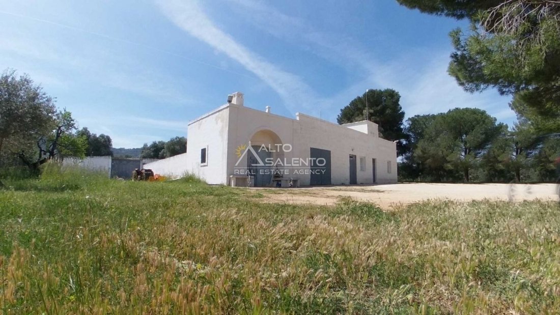 Estate in Selva di Fasano, Apulia, Italy 1 - 16624445