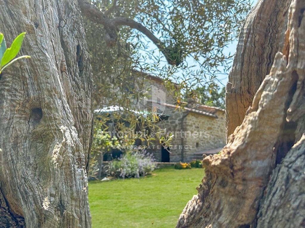 Country House in Castiglione del Lago, Umbria, Italy 1 - 16623230