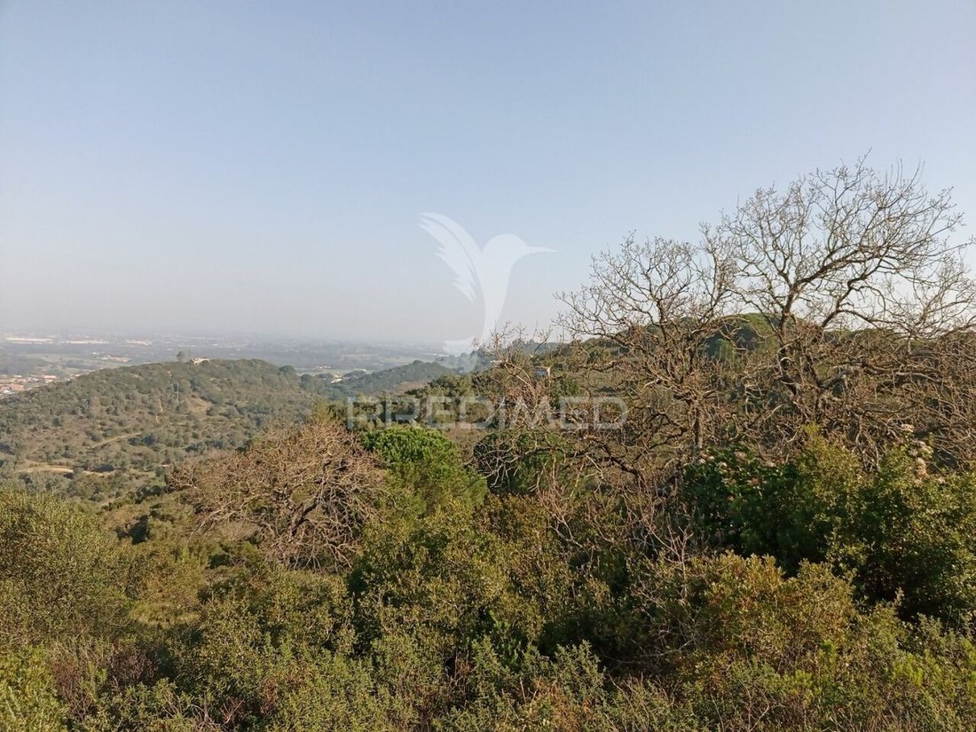 Land in Sao Francisco da Serra, Setubal, Portugal 1 - 16627889