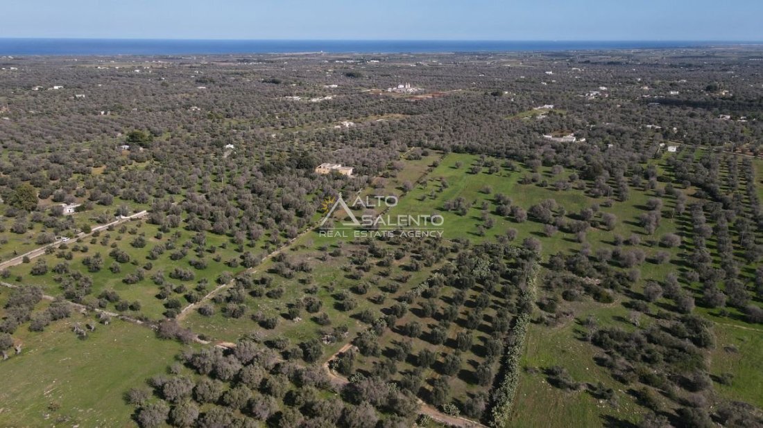 Land in San Vito dei Normanni, Apulia, Italy 4 - 16624076
