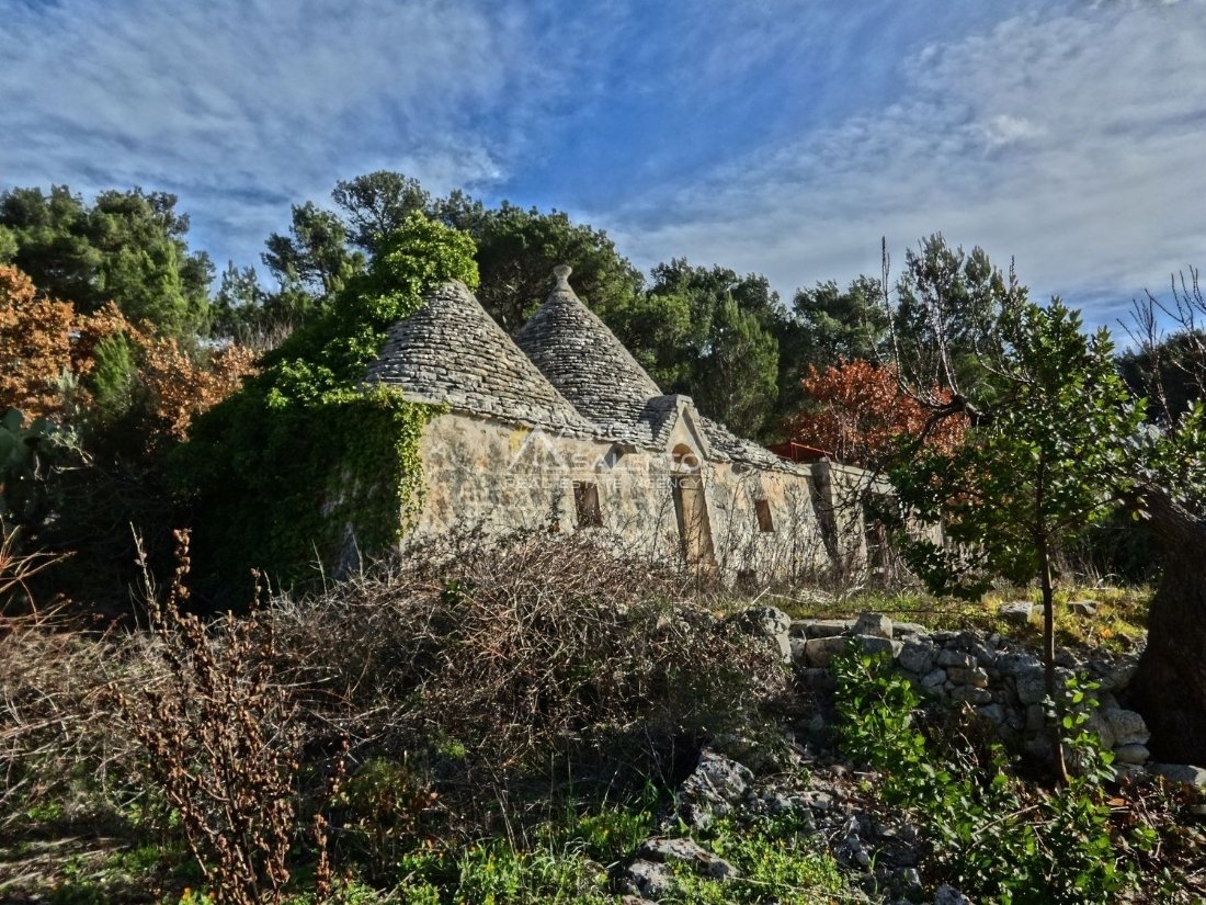 Villa in Selva di Fasano, Apulia, Italy 3 - 16624477