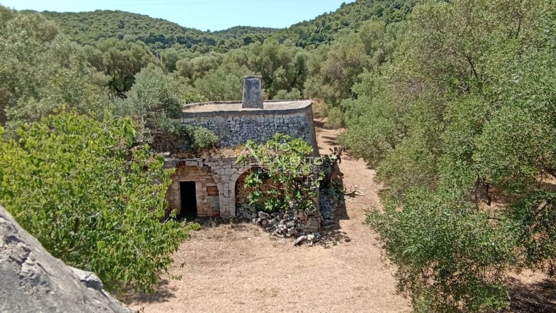 Country House in Ludovico Street - Corso Umberto I - Vittorio Emanuele Street, Ostuni, Apulia 4 - 16624549