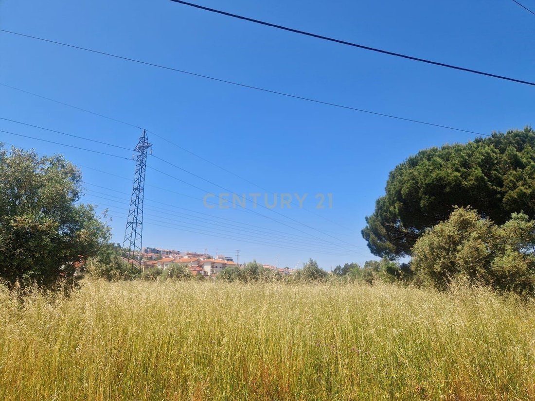Land in Pombal, Leiria District, Portugal 3 - 16627616