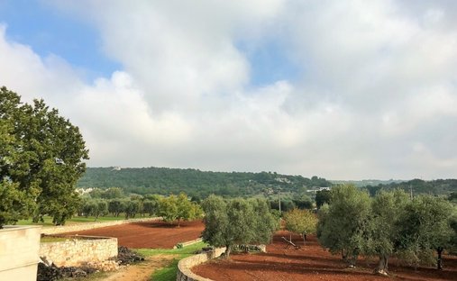 Country House in Ludovico Street - Corso Umberto I - Vittorio Emanuele Street, Ostuni, Apulia 1