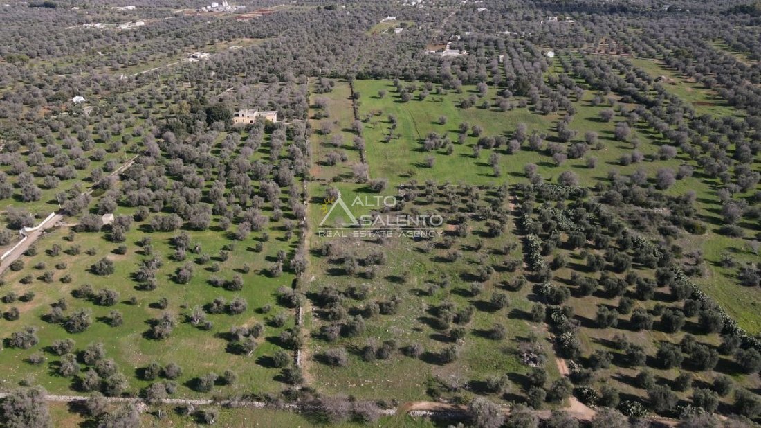 Land in San Vito dei Normanni, Apulia, Italy 3 - 16624076