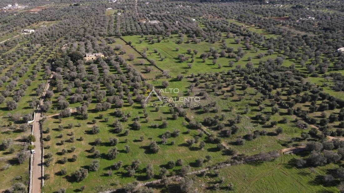 Land in San Vito dei Normanni, Apulia, Italy 2 - 16624076